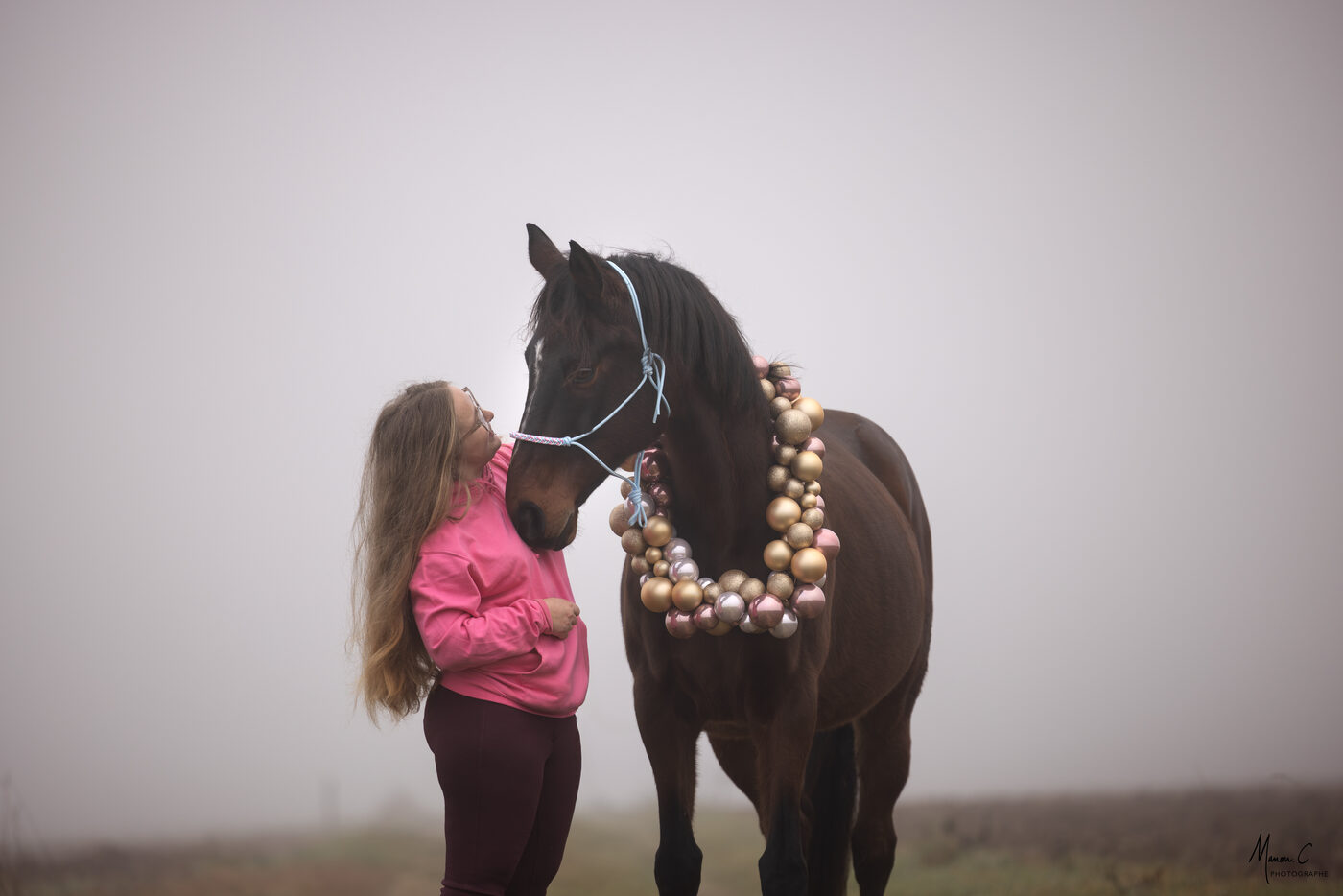 Cellia et un cheval noir dans la brume — garde d'animaux à domicile CelliaCare, Ceintrey (54)